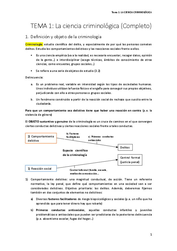 Miniatura del documento Tema 1 Completo.pdf