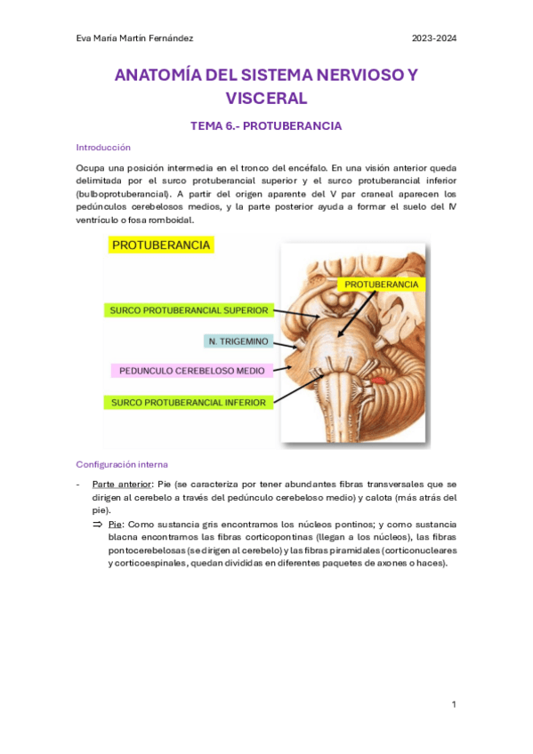 Miniatura del documento U.6.-PROTUBERANCIA.pdf