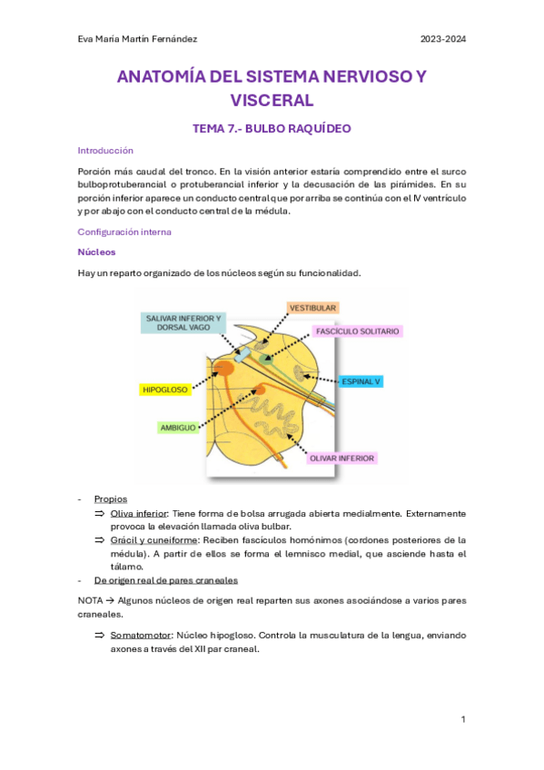 Miniatura del documento U.7.-BULBO-RAQUIDEO.pdf