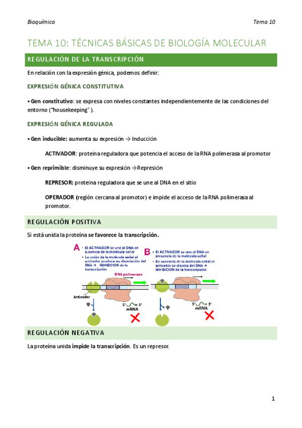 Miniatura del documento bioquimica-tema-10.pdf