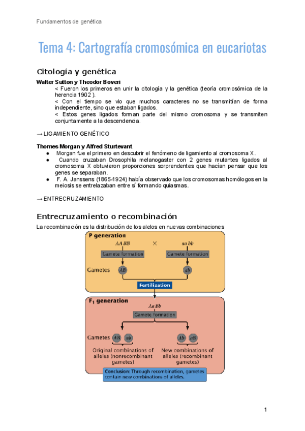 Miniatura del documento tema-4-genetica.pdf