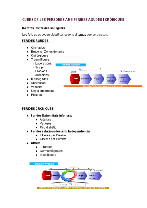Miniatura del documento CURES-DE-LES-PERSONES-AMB-FERIDES-AGUDES-I-CRONIQUES.pdf