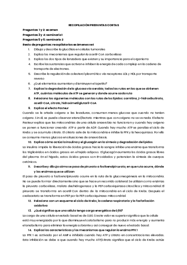 Miniatura del documento preguntas-examen.pdf
