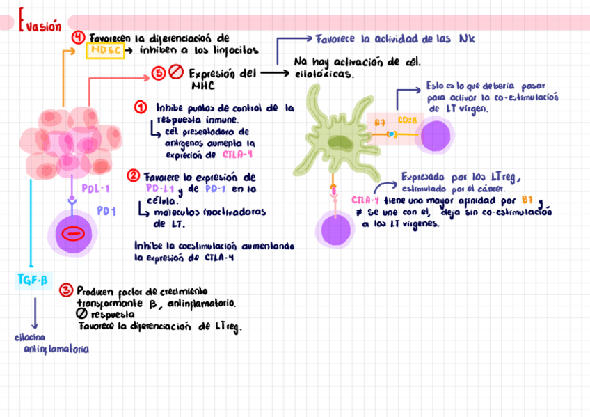 Miniatura del documento Inmunologia-vs-cancer.pdf