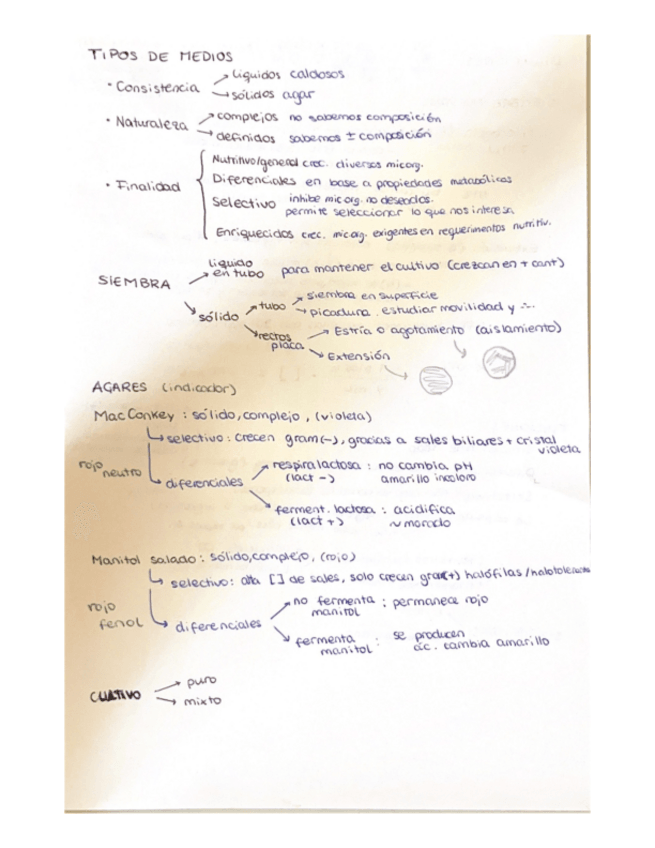 Miniatura del documento Practicas-micro-RESUMEN.pdf