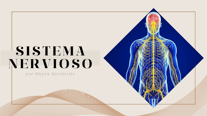 Miniatura del documento por-Mayra-Antoniette.pdf