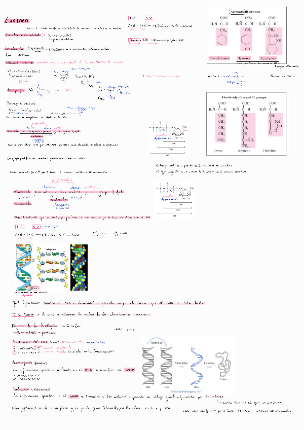 Miniatura del documento Examen-teoria-PRIMER-PARCIAL.pdf