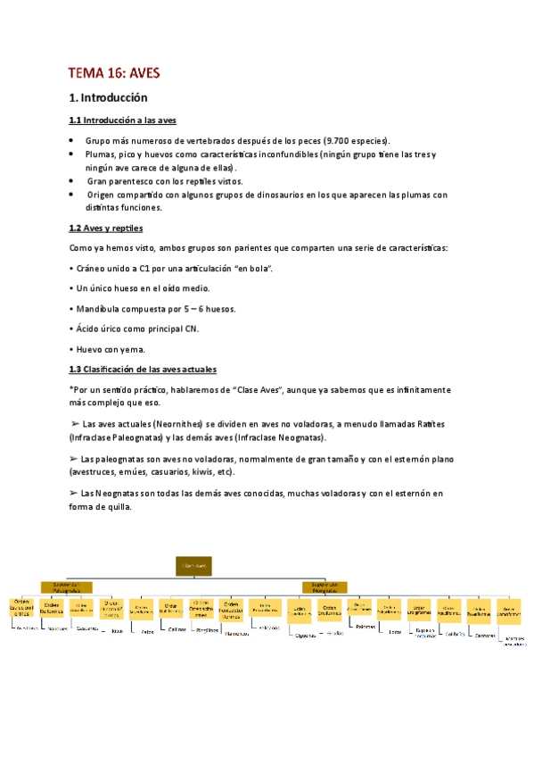 Miniatura del documento T.16-Aves.pdf