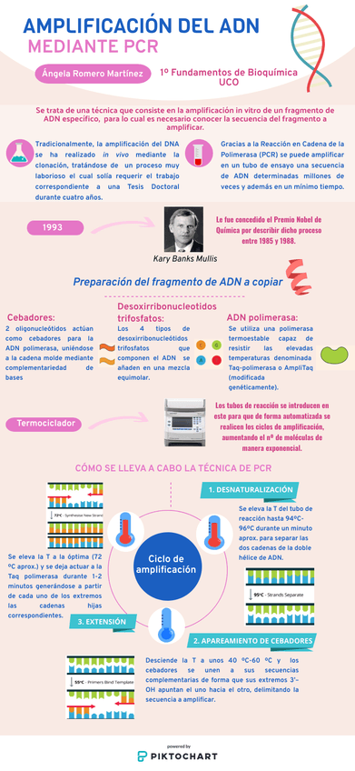 Miniatura del documento Poster-PCR.png