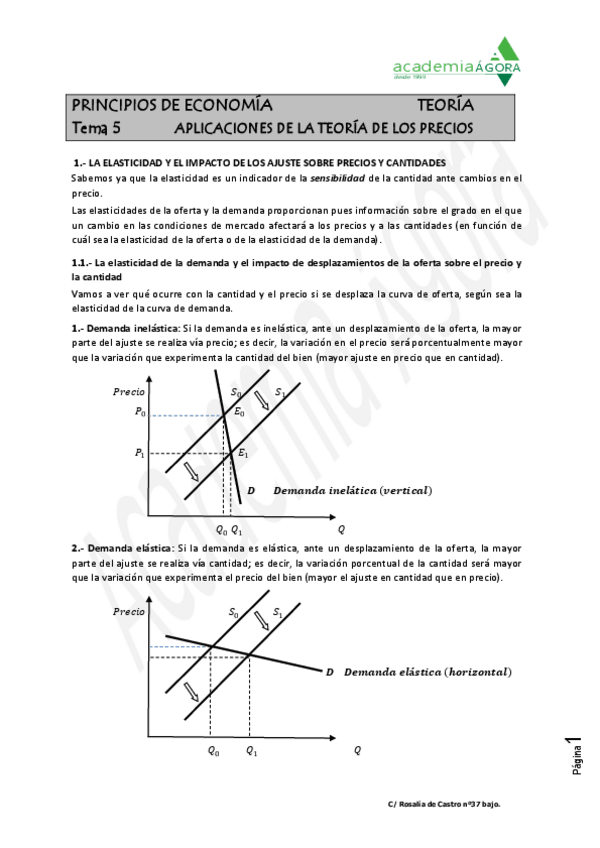 Miniatura del documento Tema-5.-Teoria-de-precios.-1.-Teoria.pdf
