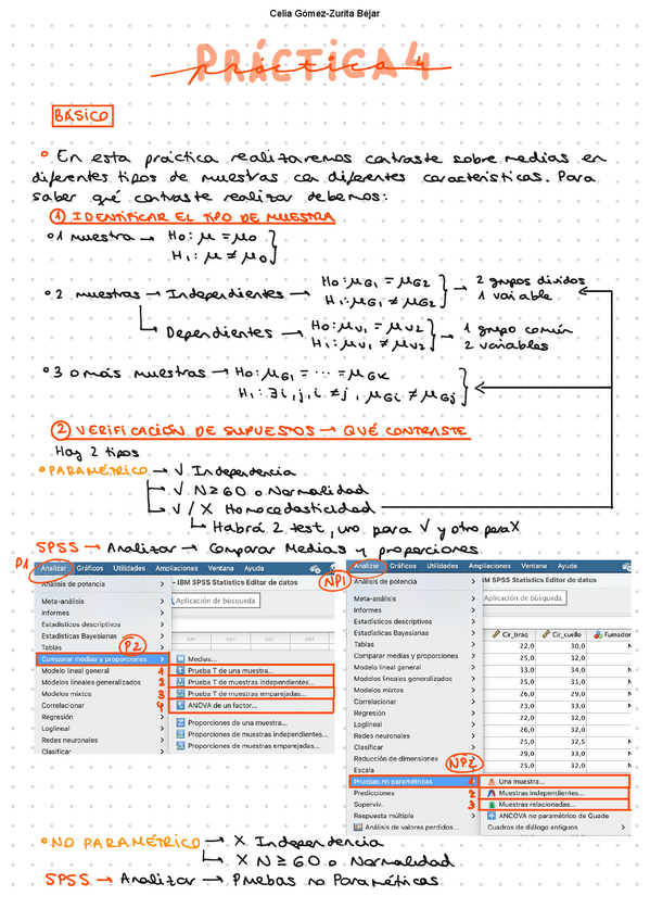 Miniatura del documento Manual-Practica-4.pdf