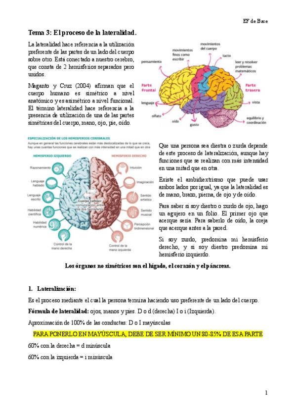 Miniatura del documento Tema-3-EF-de-Base.pdf