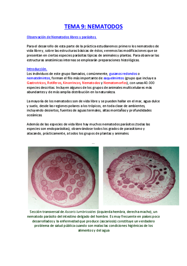 Miniatura del documento Nematodos.pdf