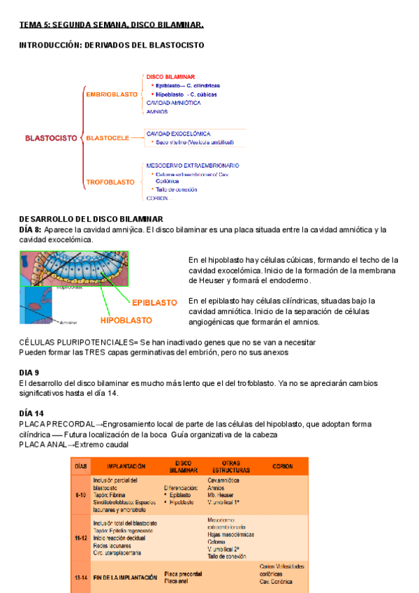 Miniatura del documento EMBRIOLOGIA-TEMAS-56.pdf