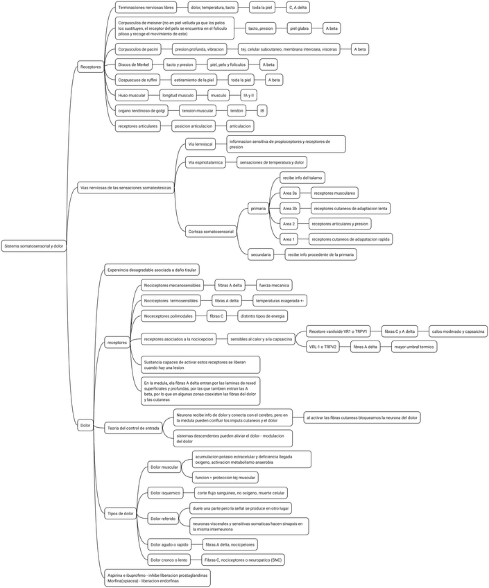 Miniatura del documento 7.-Sistema-somatosensorial-y-dolor.pdf