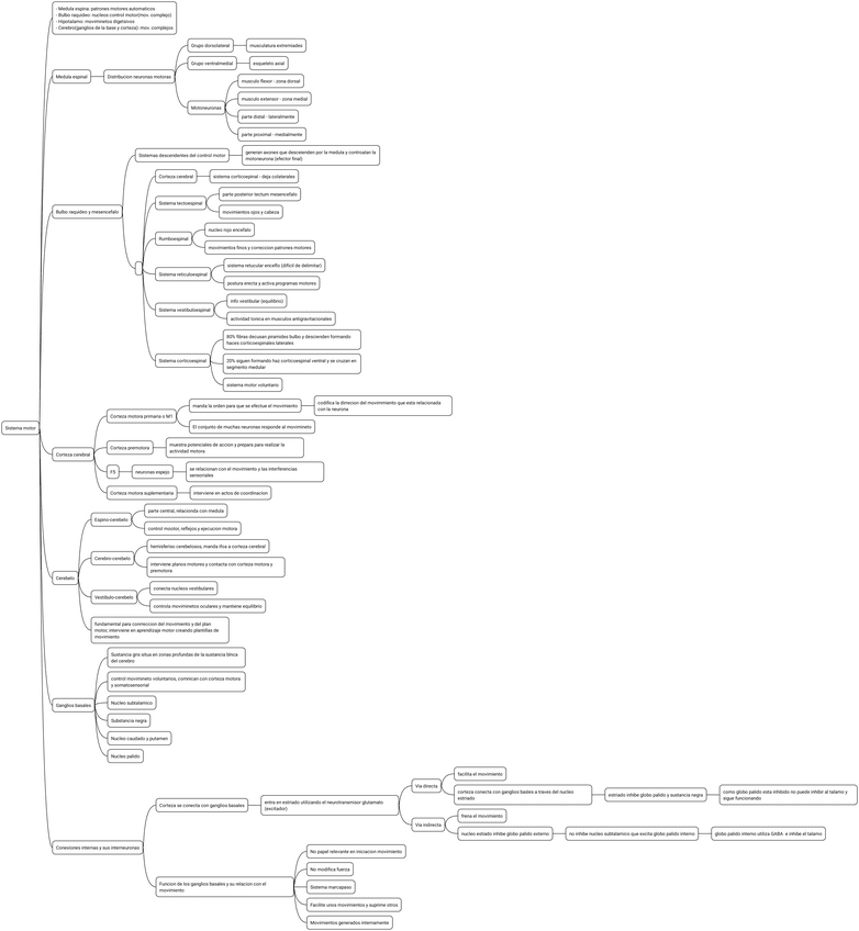 Miniatura del documento 11.-Sistema-motor.pdf