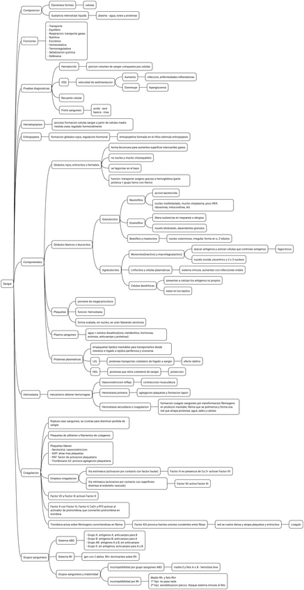 Miniatura del documento 14.-Sangre.pdf