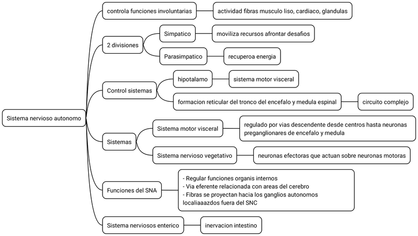 Miniatura del documento 15.-Sistema-nervioso-autonomo.pdf