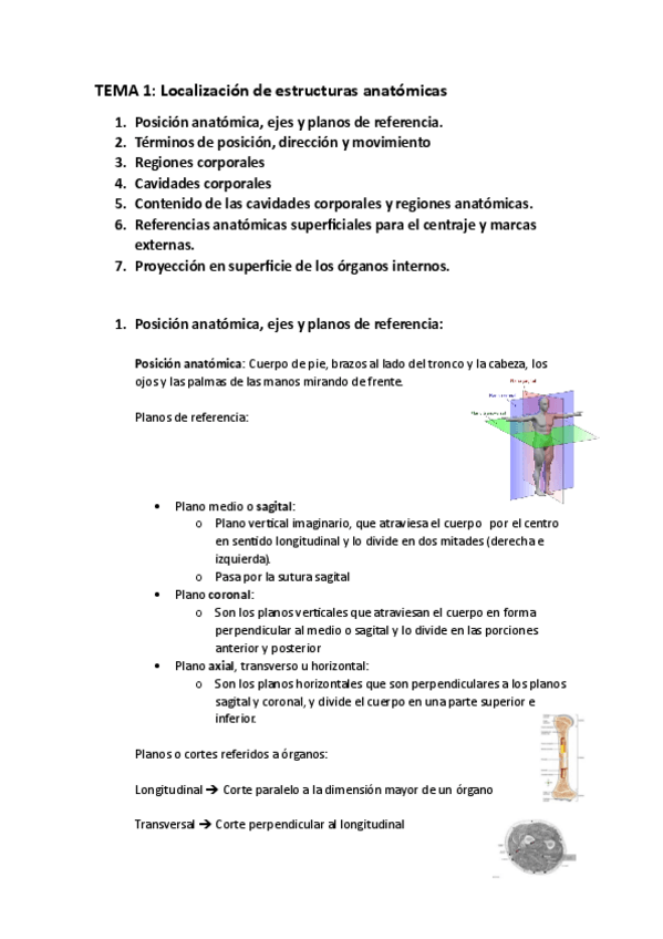 Miniatura del documento Anatomia-por-la-imagen-tema1.pdf