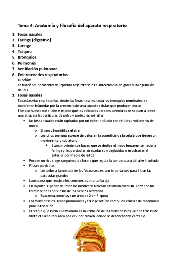 Miniatura del documento Tema-4-Anatomia-y-fisiologia-del-aparato-respiratorio.pdf