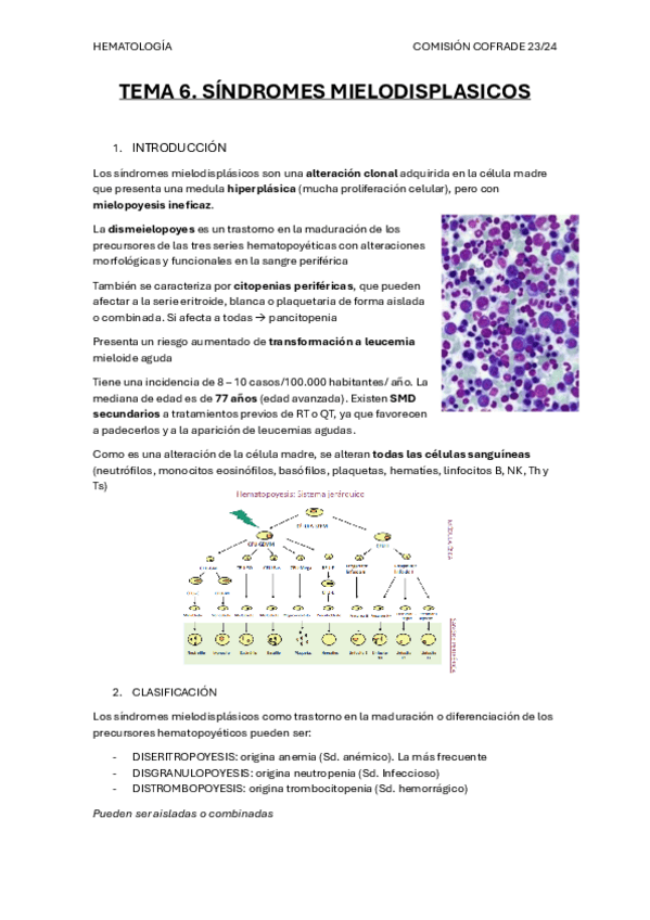 Miniatura del documento TEMA-6.-Sindromes-mielodisplasicos.pdf