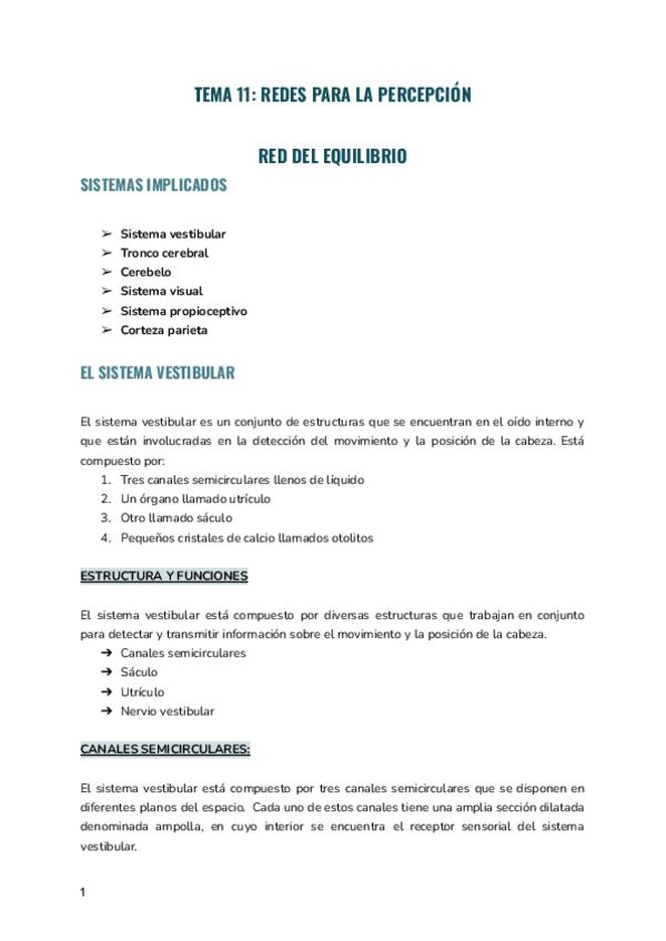 Miniatura del documento TEMA-11-NEUROCIENCIA.pdf