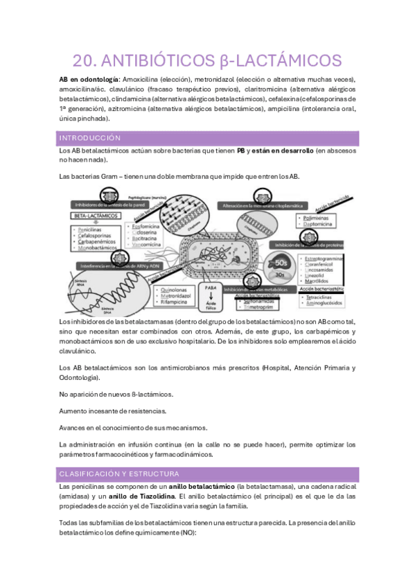 Miniatura del documento 20-23.-Antibioterapia.pdf