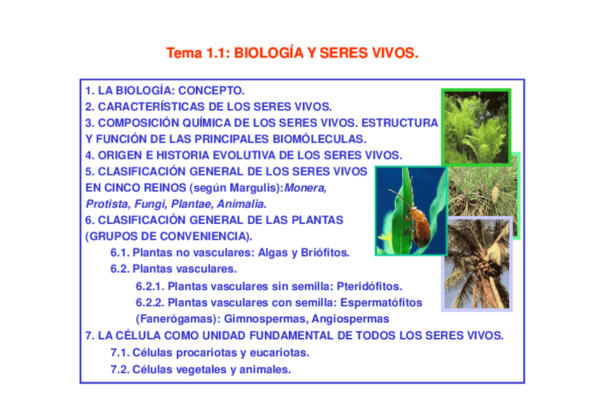Miniatura del documento Tema 1.1 B Biologia y seres vivos.pdf