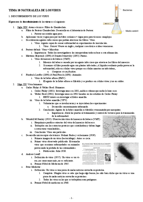Miniatura del documento MICROBIOLOGIA-TEMA-10-NATURALEZA-DE-LOS-VIRUS.pdf