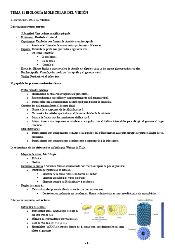 Miniatura del documento MICROBIOLOGIA-TEMA-11-BIOLOGIA-MOLECULAR-DEL-VIRION.pdf