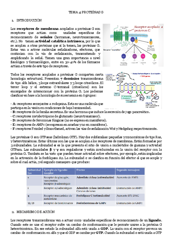 Miniatura del documento TEMA-4-PROTEINAS-G.pdf