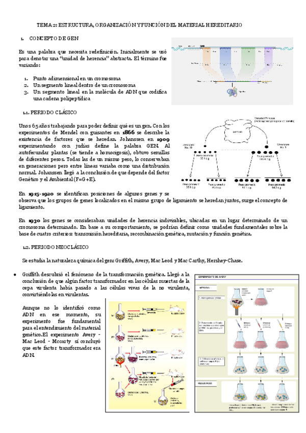 Miniatura del documento TEMA-2-ESTRUCTURA-ORGANIZACION-Y-FUNCION-DEL-MATERIAL-HEREDITARIO.pdf