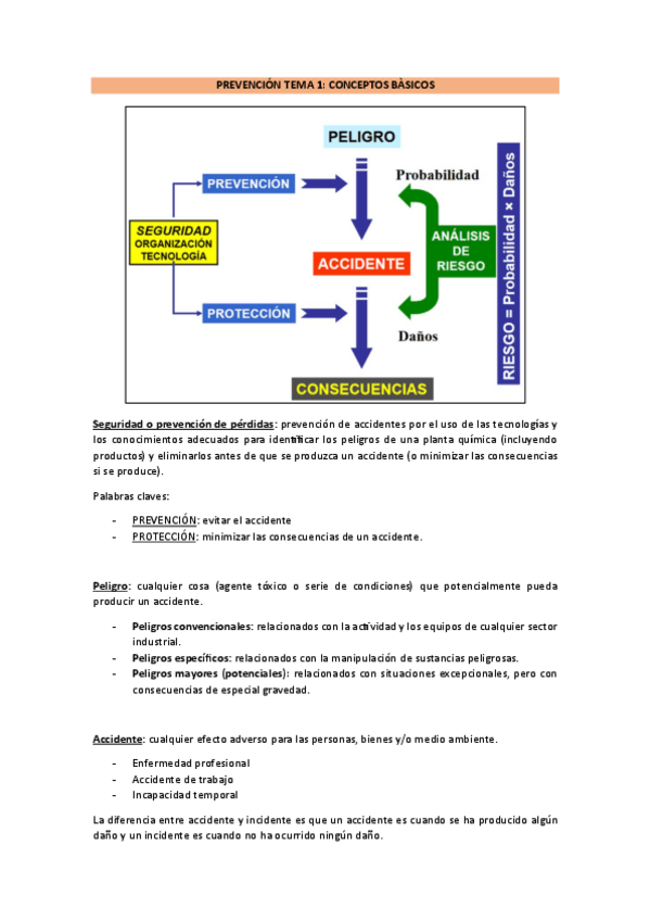Miniatura del documento PREVENCION-TEMA-1.pdf