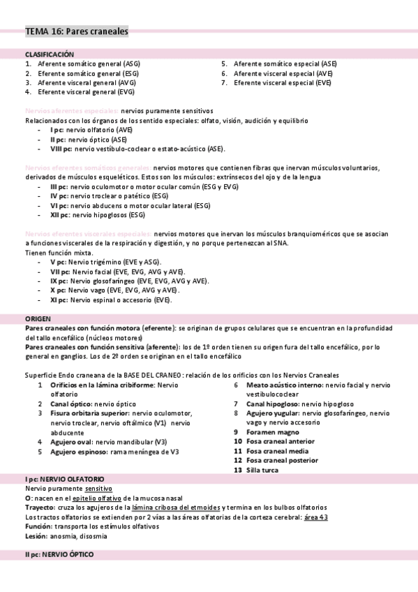 Miniatura del documento tema-16-pares-craneales.pdf