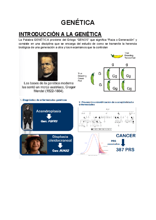 Miniatura del documento GENETICA-1.pdf