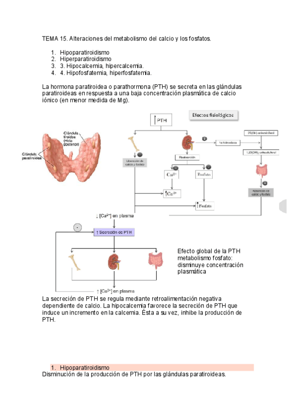 Miniatura del documento Tema-15-fisiopatologia.pdf