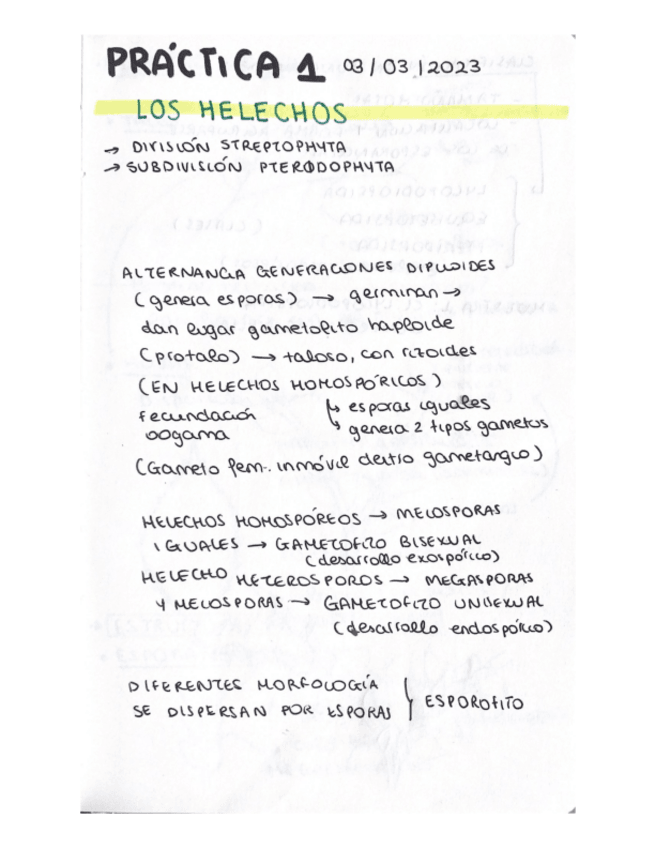 Miniatura del documento cuaderno-de-practicas-parte-1.pdf