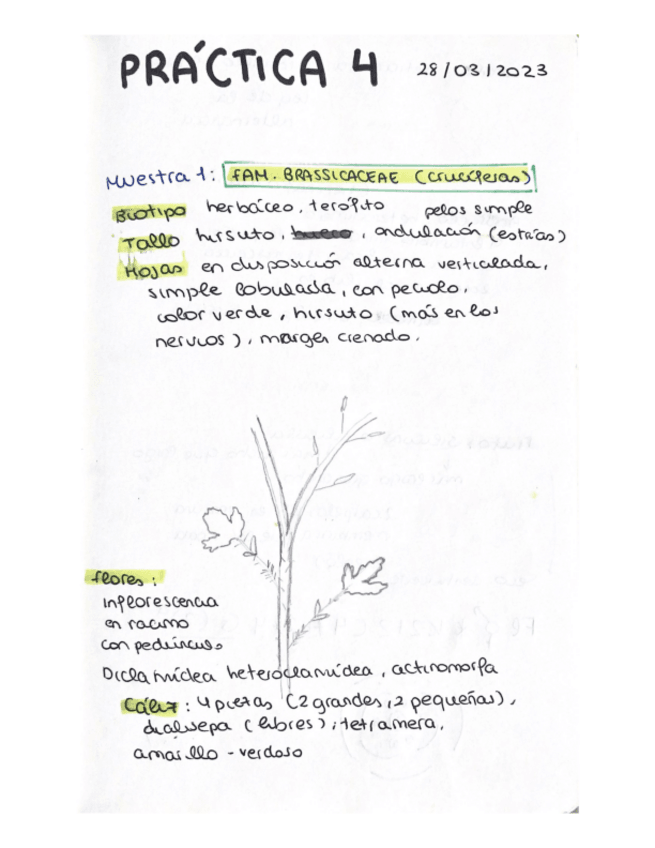 Miniatura del documento cuaderno-de-practicas-parte-2.pdf