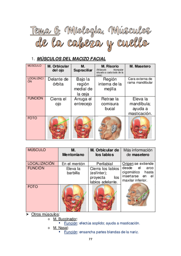 Miniatura del documento TEMA-6.-MIOLOGIA.-MUSCULO-DE-LA-CABEZA-Y-CUELLO.pdf