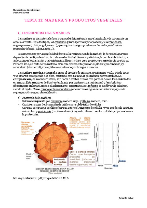 Miniatura del documento TEMA-11-MADERA-Y-PRODUCTOS-VEGETALES.pdf
