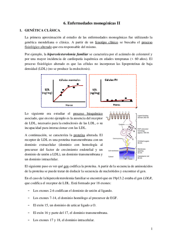 Miniatura del documento 6.-Enfermedades-monogenicas-II.pdf