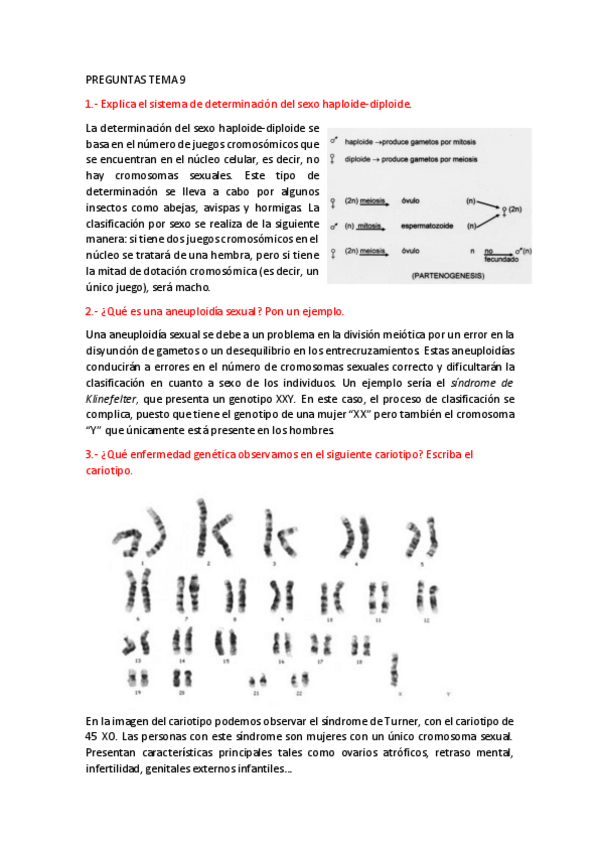 Miniatura del documento PREGUNTAS-TEMA-9.pdf
