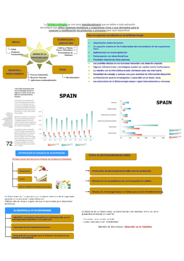 Miniatura del documento Diapositivas-teoria-para-llevar-a-examen.pdf