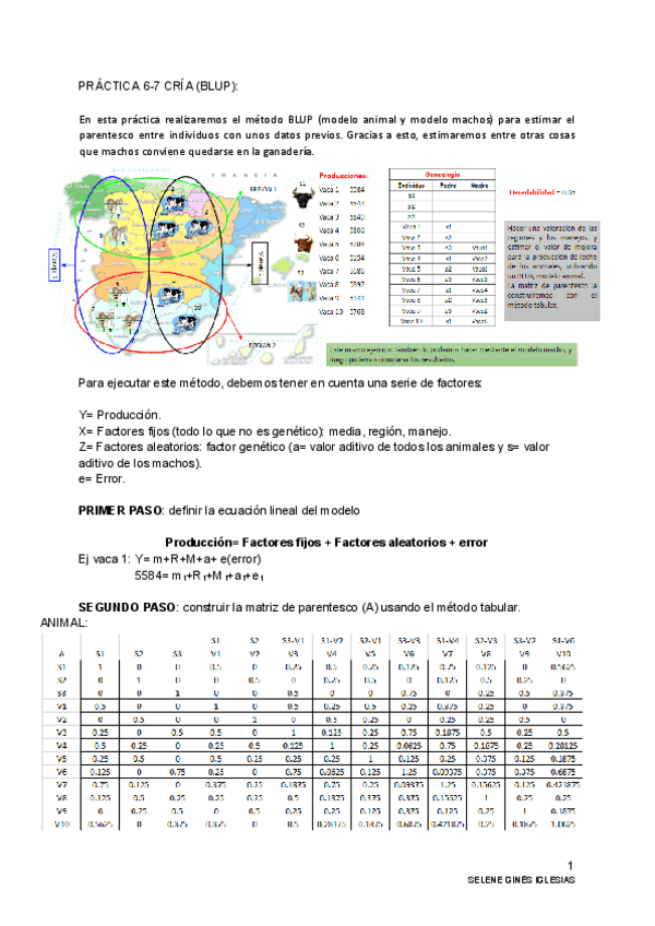 Miniatura del documento Practica-BLUP.pdf