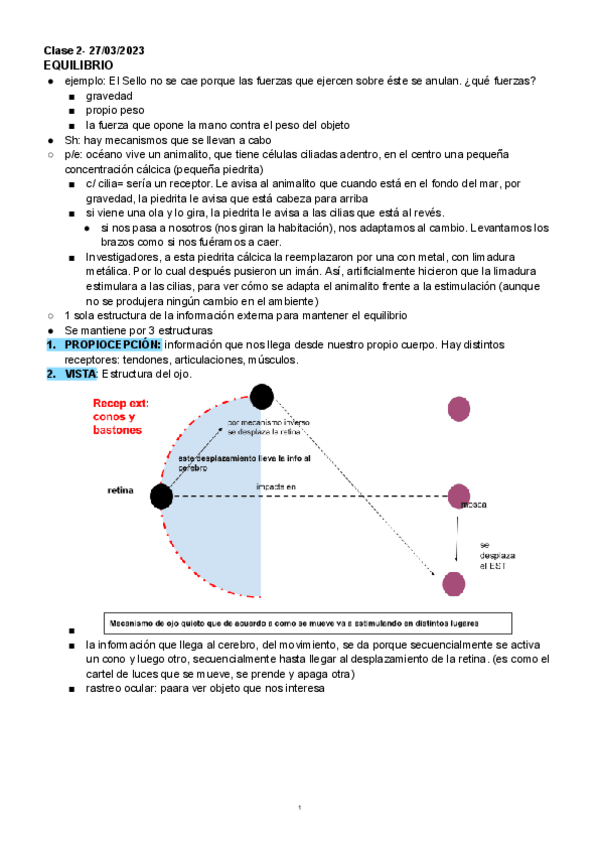 Miniatura del documento Funcion-y-defuncion-del-sistema-Vestibular-Audiologia-y-Equilibrio.pdf