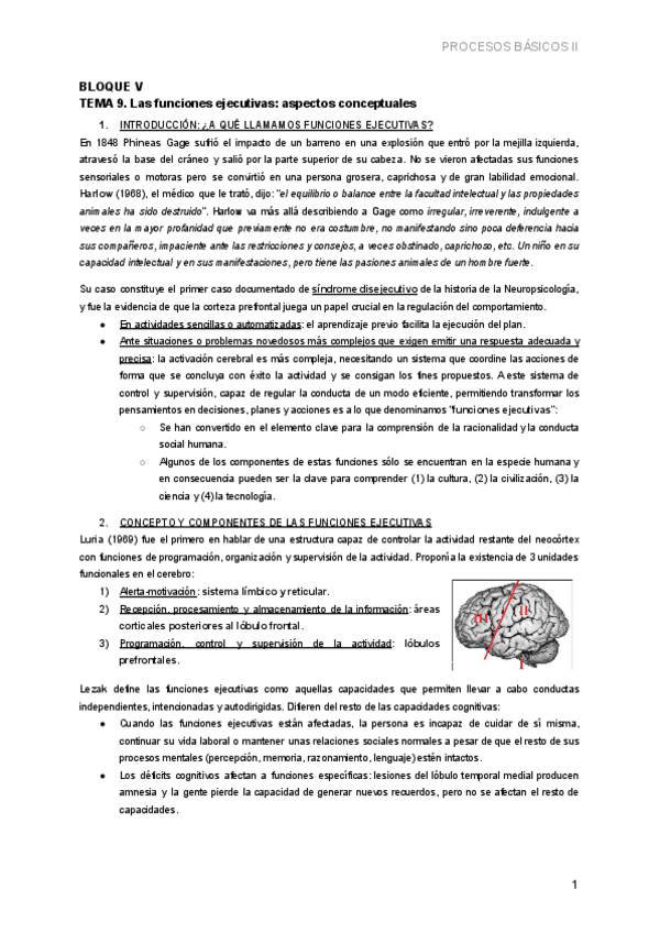 Miniatura del documento BLOQUE-V.-TEMA-9.-LAS-FUNCIONES-EJECUTIVAS-ASPECTOS-CONCEPTUALES.pdf