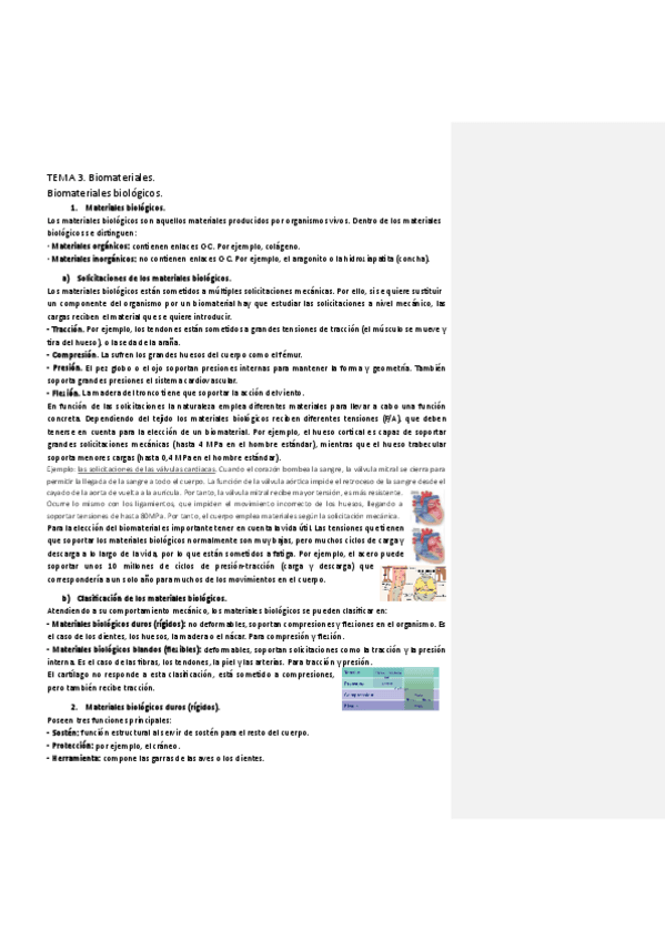 Miniatura del documento TEMA-3.-Biomateriales-COMPLETO.pdf