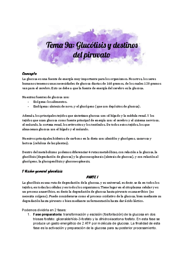 Miniatura del documento Tema-9a-Glucolisis-y-destinos-del-piruvato.pdf
