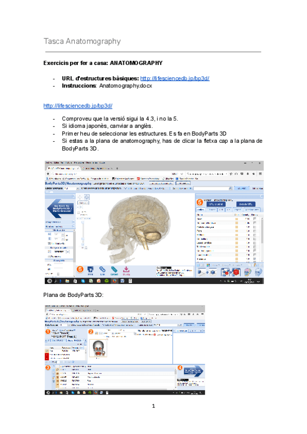Miniatura del documento Tasca-Anatomography.pdf