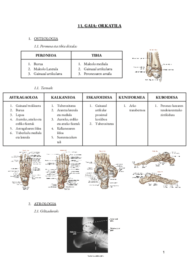 Miniatura del documento 11.-gaia-ORKATILA.pdf